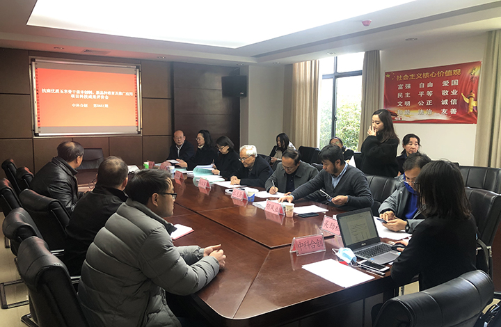 抗病优质玉米骨干亲本创制、新品种培育及推广应用 anli.jpg